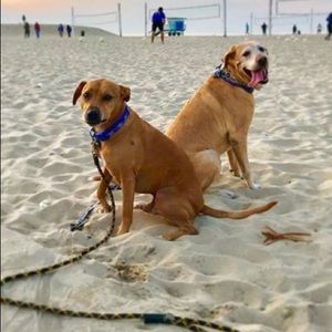 Meet your Posher, Allison